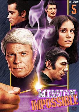 虎胆妙算 第五季