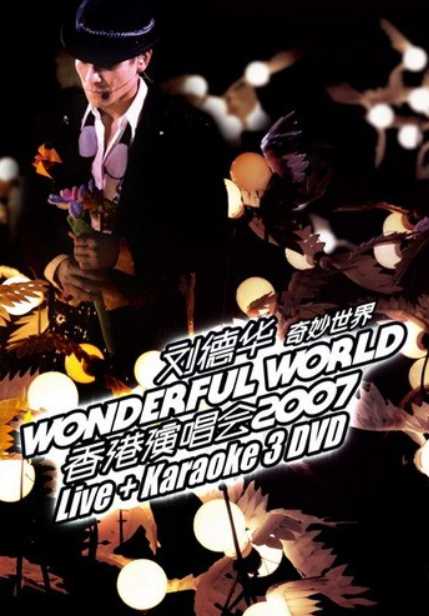 刘德华:奇妙世界2007香港演唱会