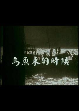 乌鱼来的时候