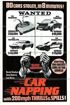 偷车一条龙:订购、偷窃、交付